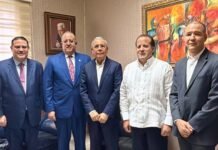 Danilo Medina supedita postura del PLD a la entrega del plan definitivo del Gobierno